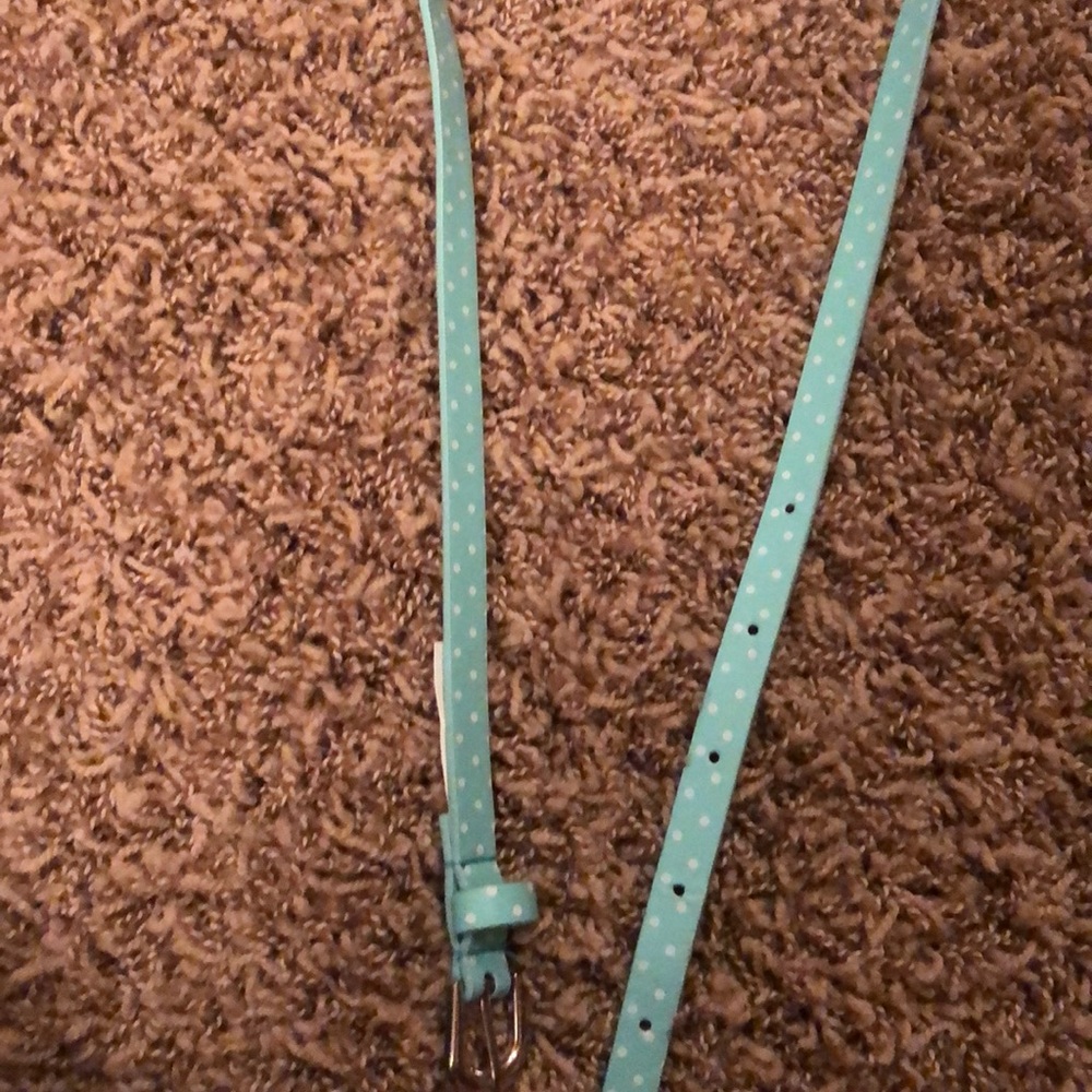 skinny teal polka dot belt